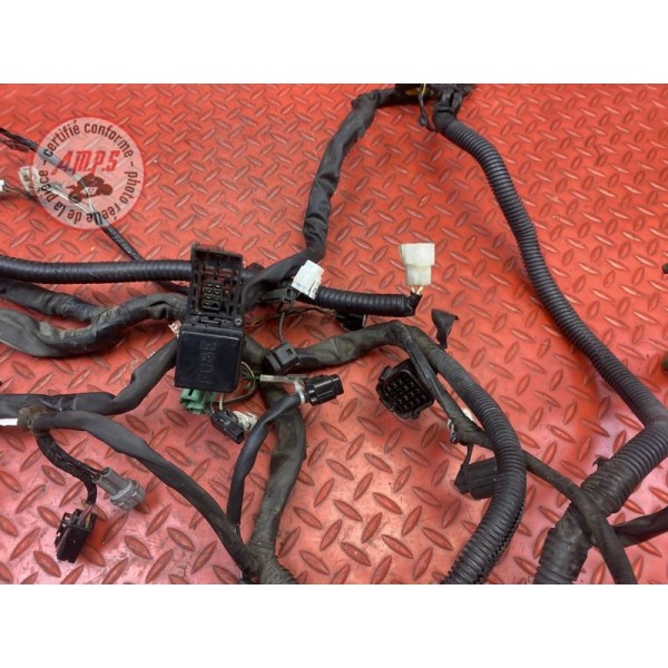 Faisceau électrique principale 