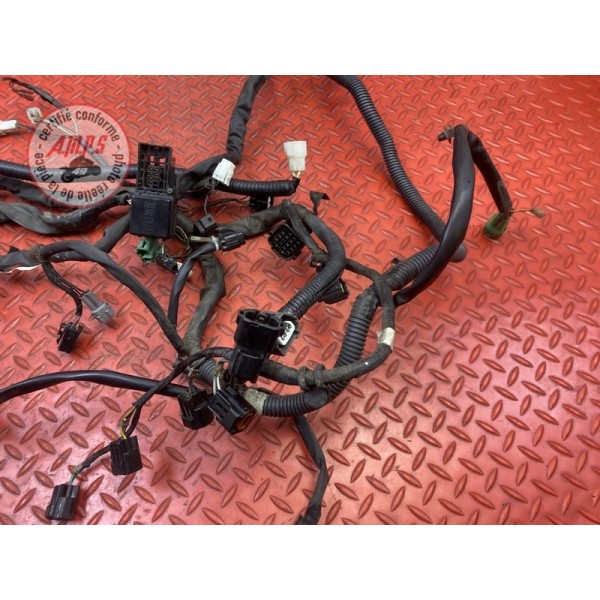 Faisceau électrique principale 