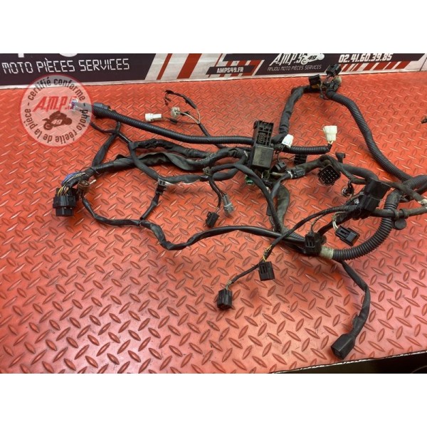 Faisceau électrique principale 