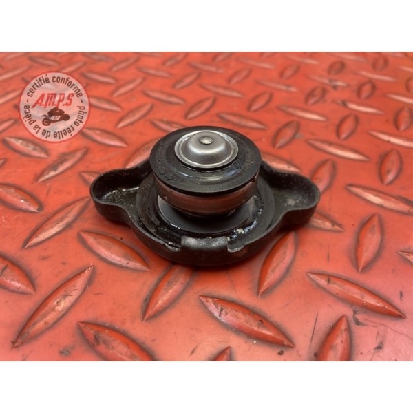 Bouchon de radiateur 