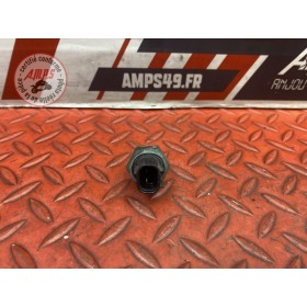 Sonde de température d'eau 