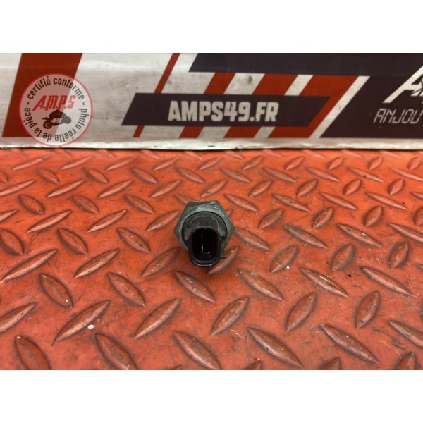 Sonde de température d'eau 