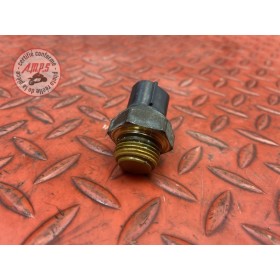 Sonde de température d'eau 