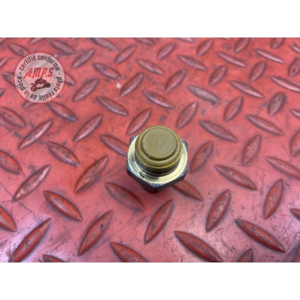 Sonde de température d'eau 