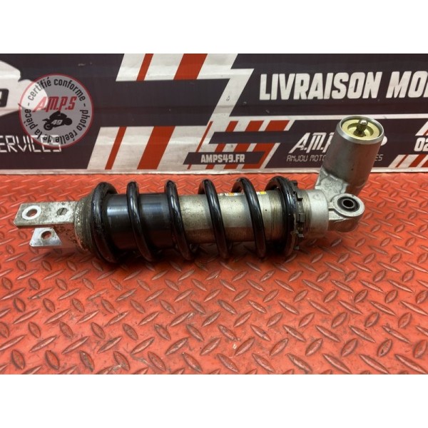 Amortisseur arrière 