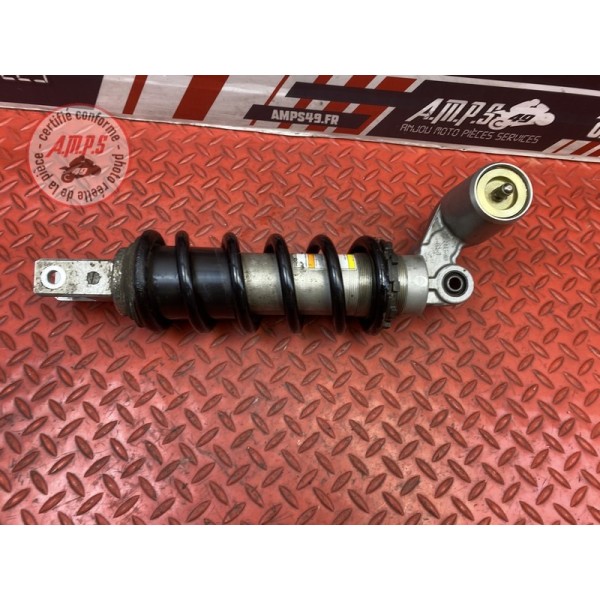 Amortisseur arrière 