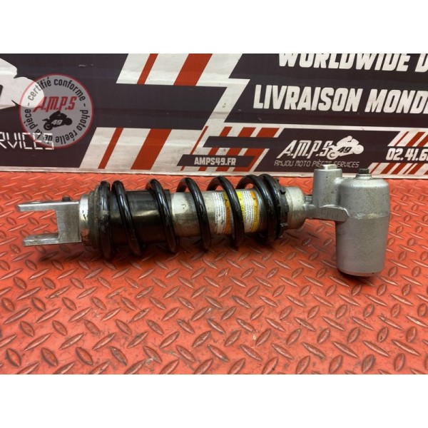 Amortisseur arrière 