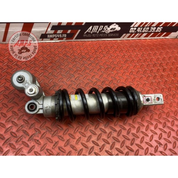 Amortisseur arrière 