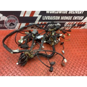 Faisceau électrique principale 