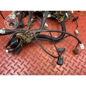 Faisceau électrique principale 