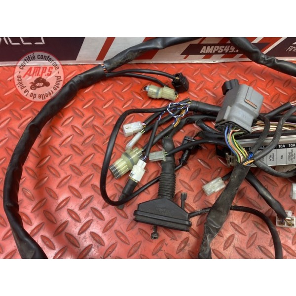 Faisceau électrique principale 