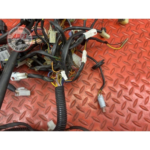 Faisceau électrique principale 