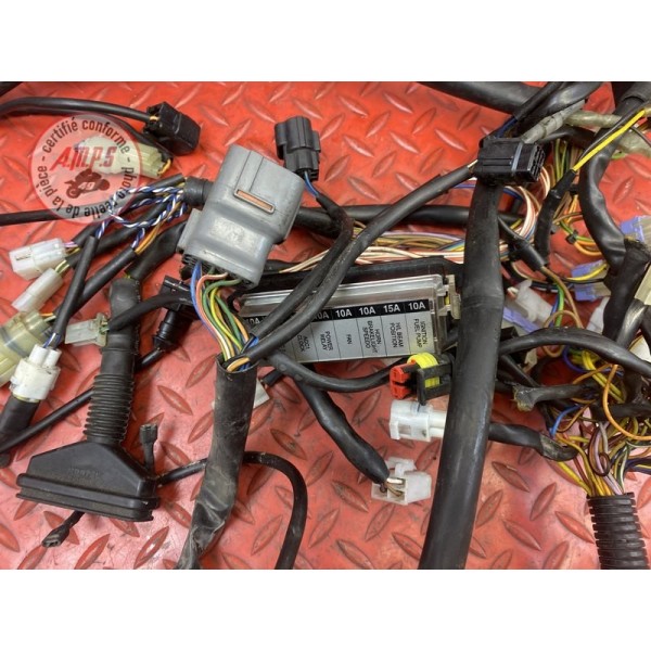 Faisceau électrique principale 