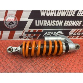 Amortisseur arrière 