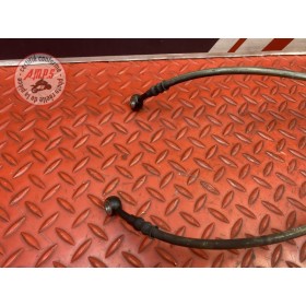 Durite de frein avant 