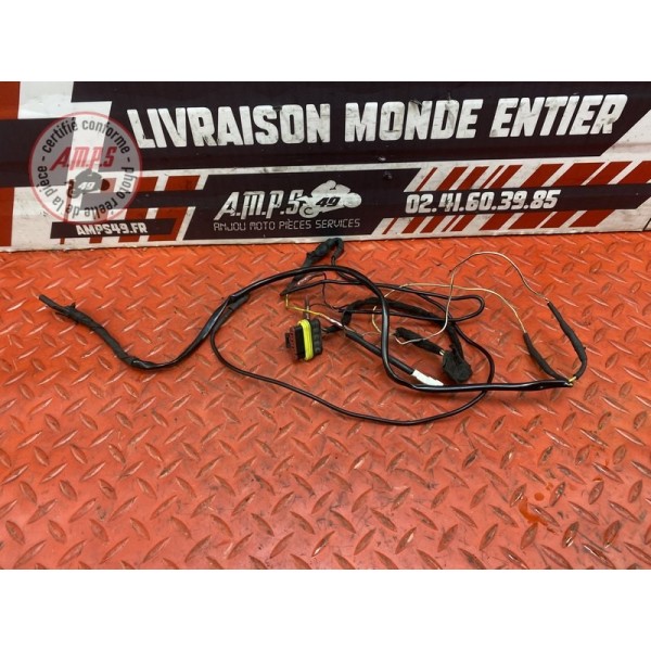 Faisceau arrière 
