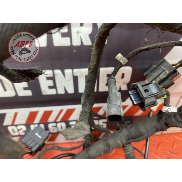 Faisceau électrique principale 