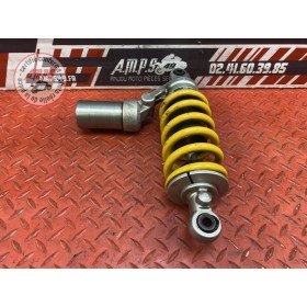 Amortisseur arrière 