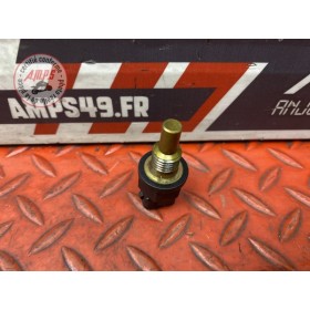 Sonde de température d'eau 