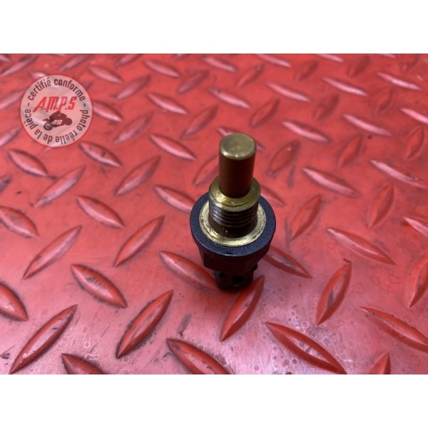 Sonde de température d'eau 