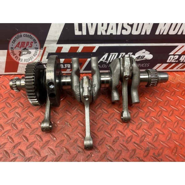 Vilebrequin avec bielles 