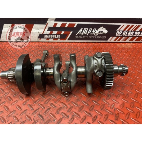 Vilebrequin avec bielles 