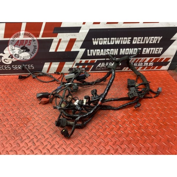 Faisceau électrique principale 