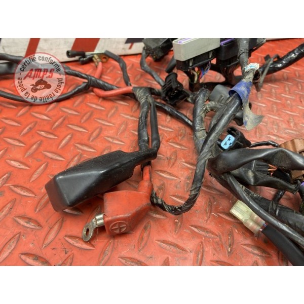 Faisceau électrique principale 