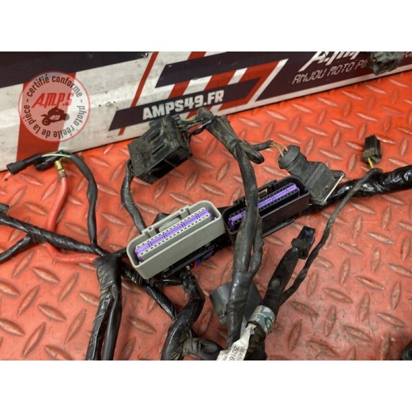 Faisceau électrique principale 