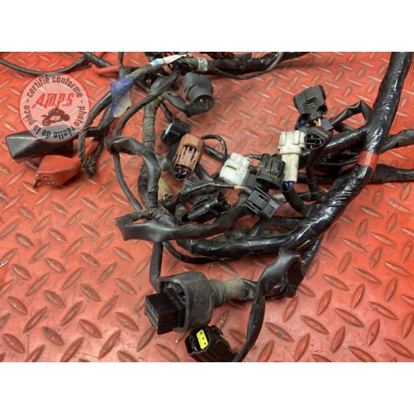 Faisceau électrique principale 