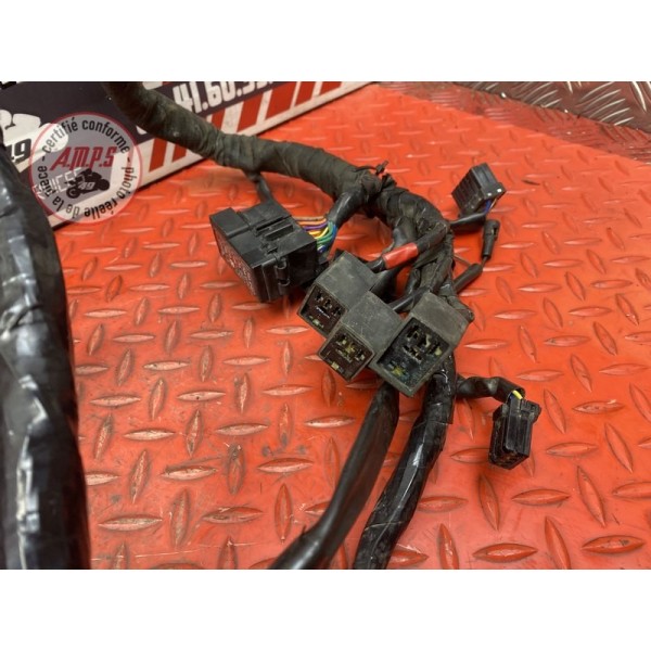 Faisceau électrique principale 