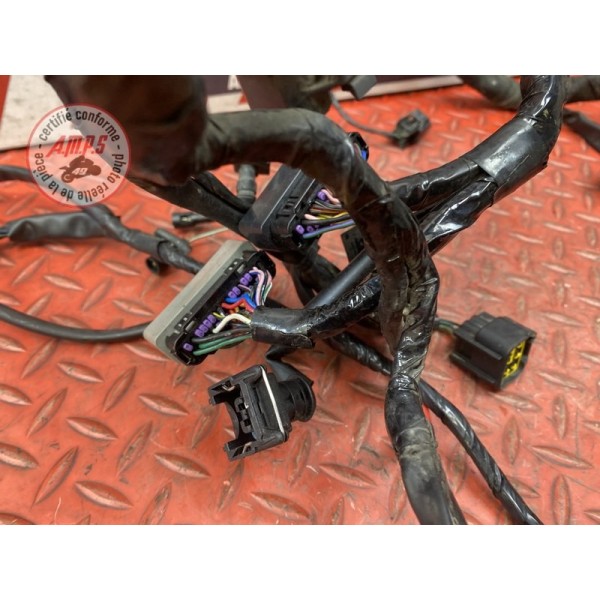 Faisceau électrique principale 