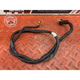 Cable de batterie 