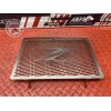 Grille de radiateur