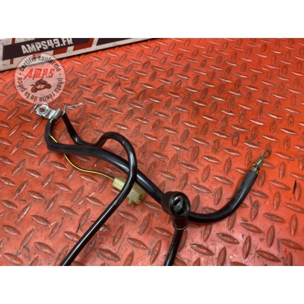 Cable de masse 
