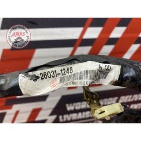 Faisceau électrique principale 