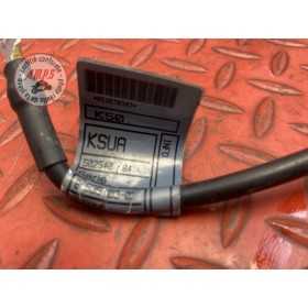 Cable de masse 
