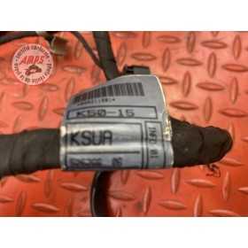 Faisceau électrique principale 