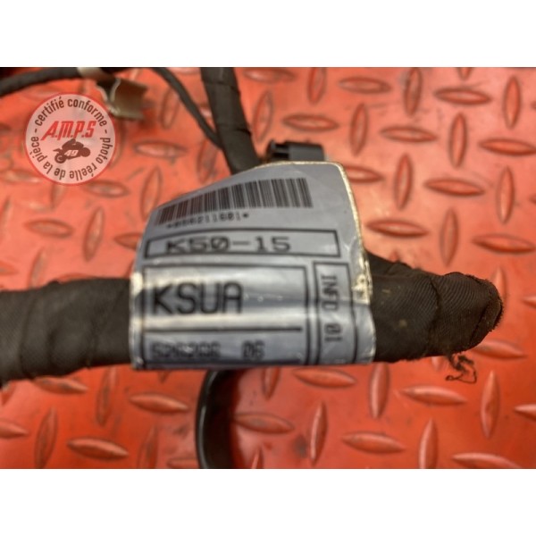 Faisceau électrique principale 