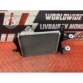 Radiateur d'eau gauche 