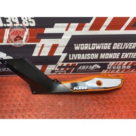 Coque arrière gauche 