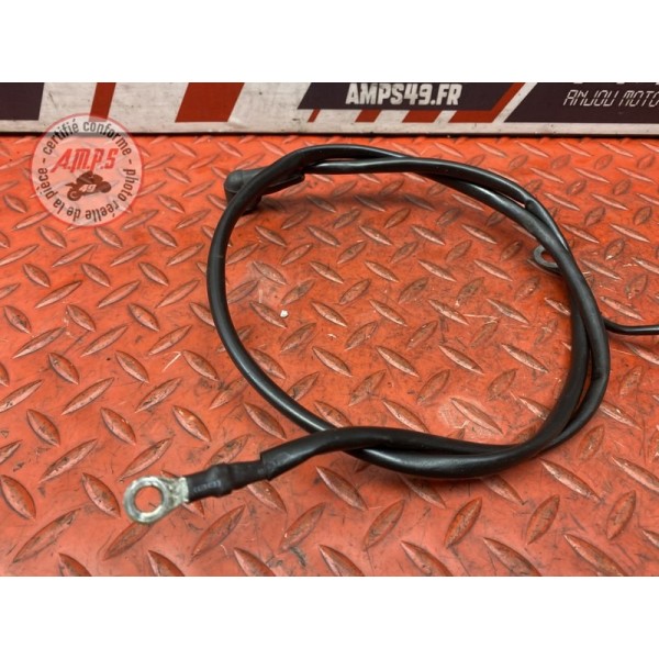 Cable de masse 
