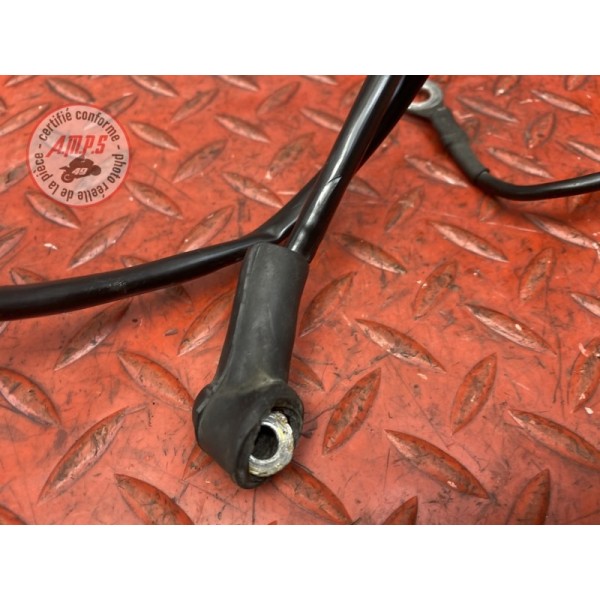 Cable de masse 