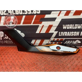 Coque arrière gauche 