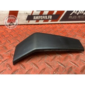 Ecope de radiateur gauche 