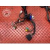 Faisceau électrique principale