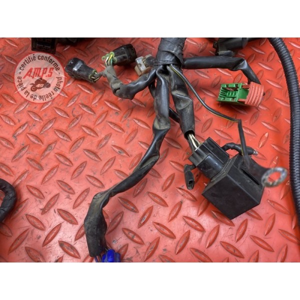 Faisceau électrique principale 