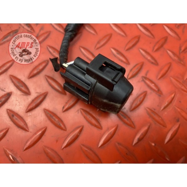 Faisceau électrique principale 