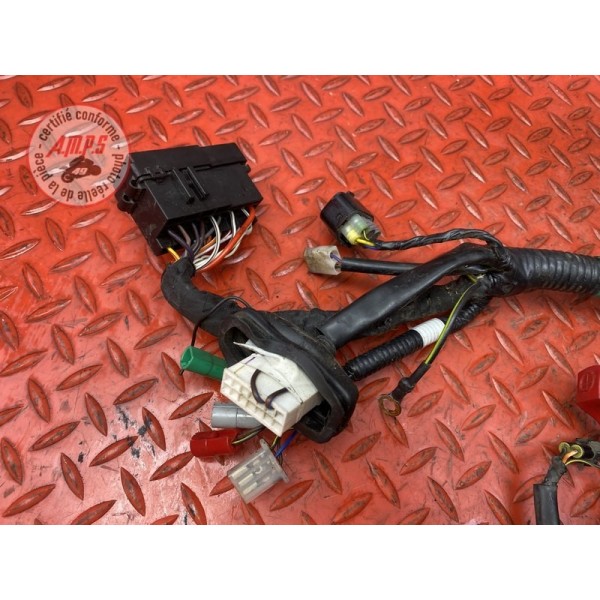 Faisceau électrique principale 