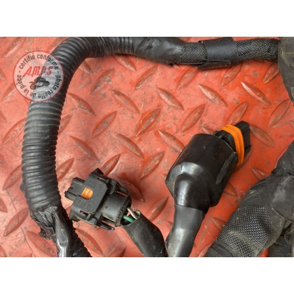 Faisceau électrique principale 